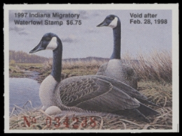 Scan of IN22 1997  VF