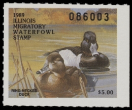 Scan of IL15 1989  VF