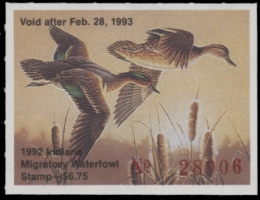 Scan of IN17 1992  VF