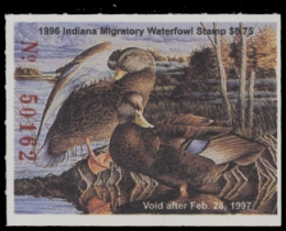 Scan of IN21 1996  VF