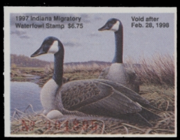 Scan of IN22 1997  VF