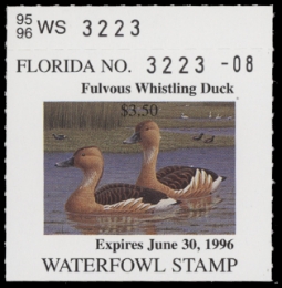 Scan of FL17 1995  VF