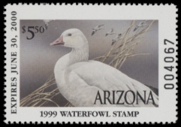 Scan of AZ13 1999  VF