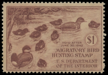 Picture of RW8 1941 Duck Stamp. MNH