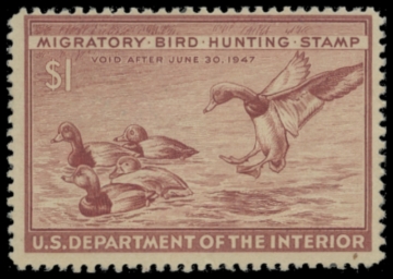 Picture of RW13 1946 Duck Stamp. Unsigned