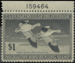 Picture of RW14 1947 Duck Stamp. MLH