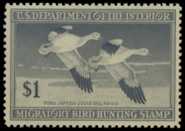 Picture of RW14 1947 Duck Stamp. MLH