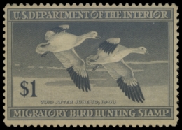 Picture of RW14 1947 Duck Stamp. Unsigned