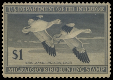 Picture of RW14 1947 Duck Stamp. Unsigned