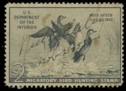 Picture of RW18 1951 Duck Stamp. Used