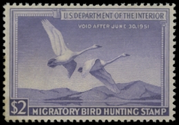 Picture of RW17 1950 Duck Stamp. MNH
