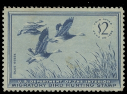 Scan of RW22 1955 Unused F-VF