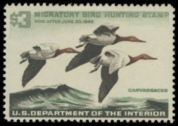 Picture of RW32 1966 Duck Stamp. MLH. F-VF 