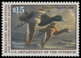 Scan of RW66 1999 MNH F-VF