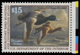 Scan of RW66 1999 MNH F-VF