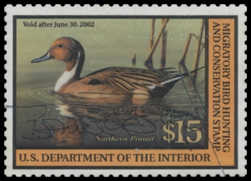 Scan of RW68 2001 Duck Stamp. Used. F-VF