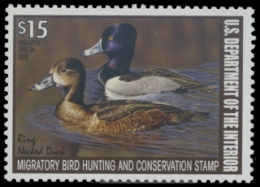 Scan of RW74 2007 MNH F-VF