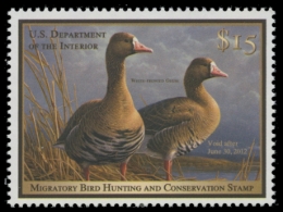 Picture of RW78 2011 Duck Stamp. MNH