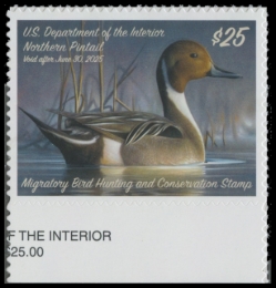 Picture of RW91 2024 Duck Stamp
