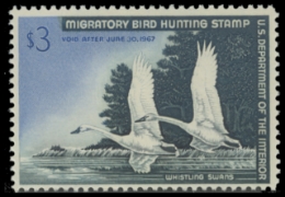 Scan of RW33 1966 MNH F-VF