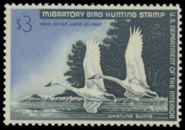 Picture of RW33 1966 Duck Stamp. MNH