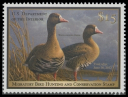 Scan of RW78 2011 MNH F-VF