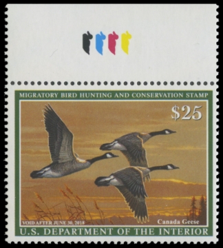 Picture of RW84 2017 Duck Stamp 
