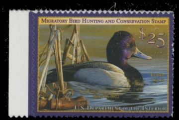 Picture of RW88 2021 Duck Stamp 