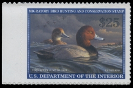 Scan of RW89 2022 MNH F-VF