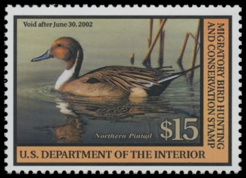 Scan of RW68 2001 Duck Stamp 