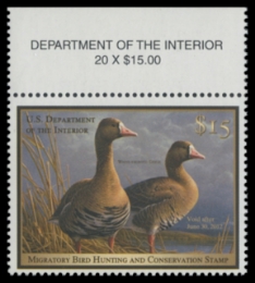 Scan of RW78 2011 MNH F-VF
