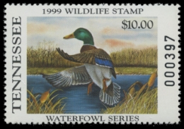 Scan of TN19 1999  VF
