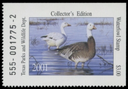 Scan of TX31 2011  VF