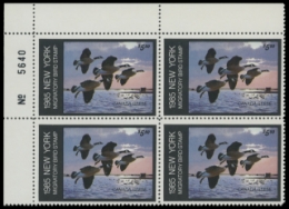 Scan of NY1 1985  VF
 s