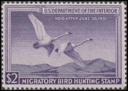 Picture of 1999 Arizona Duck Stamp
