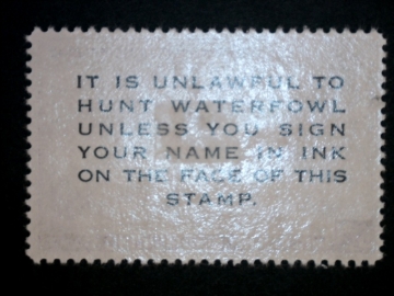 Picture of 1990 Arizona Duck Stamp