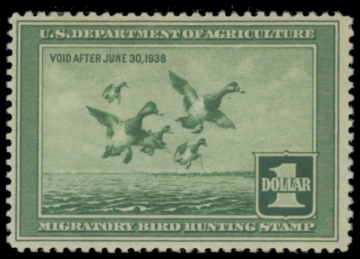 Picture of RW4 1937 Duck Stamp. Unsigned