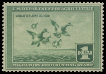 Picture of RW4 1937 Duck Stamp. MNH