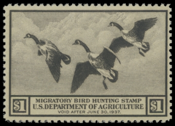 Picture of RW3 1936 MNH F-VF