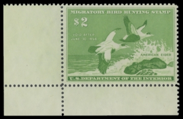 Picture of RW24 1957 Duck Stamp 