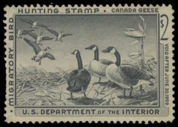 Picture of RW25 1958 Duck Stamp 