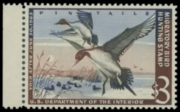 Picture of RW29 1962 Duck Stamp. MNH