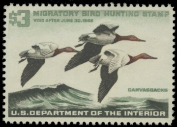 Picture of RW32 1963 Duck Stamp. MNH