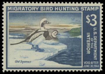 Picture of RW34 1967 Duck Stamp. MNH