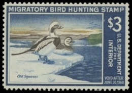 Picture of RW34 1967 Duck Stamp. MNH