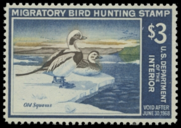 Picture of RW34 1967 Duck Stamp. MNH