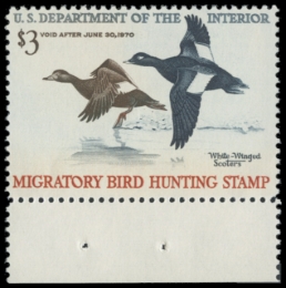Picture of RW36 1969 Duck Stamp 