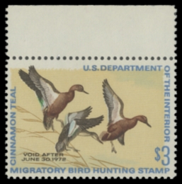 Picture of RW38 1971 Duck Stamp 