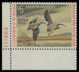 Picture of RW39 1972 Duck Stamp 