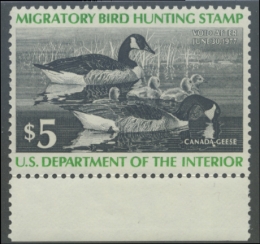 Picture of RW43 1976 Duck Stamp 
